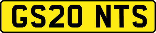 GS20NTS