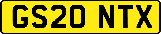 GS20NTX