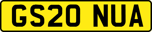 GS20NUA