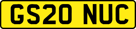 GS20NUC
