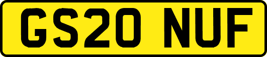GS20NUF