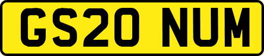 GS20NUM