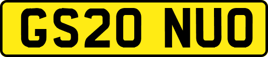 GS20NUO