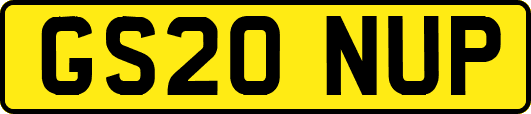 GS20NUP