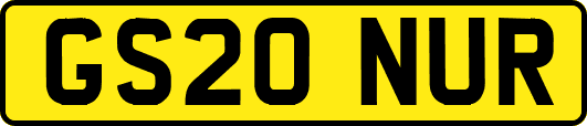 GS20NUR