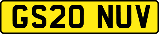 GS20NUV