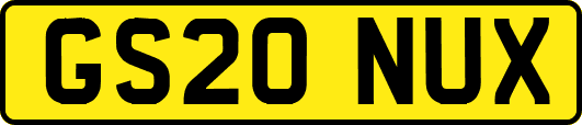 GS20NUX
