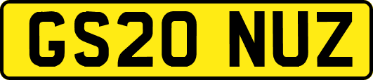 GS20NUZ