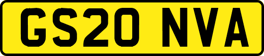 GS20NVA