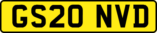 GS20NVD