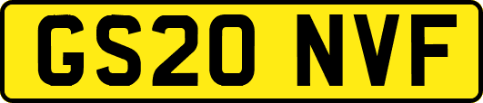 GS20NVF