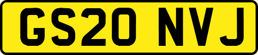 GS20NVJ