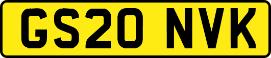 GS20NVK
