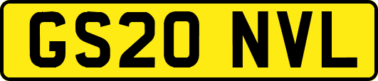 GS20NVL