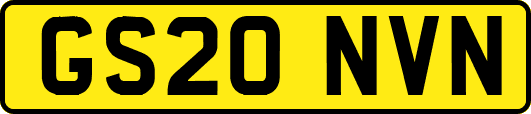 GS20NVN