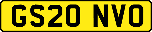 GS20NVO