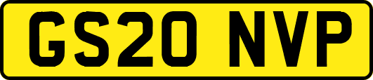 GS20NVP