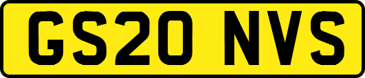 GS20NVS