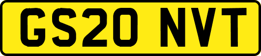 GS20NVT