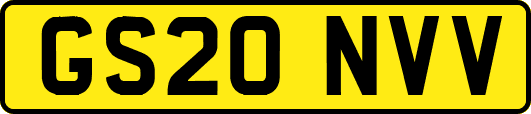 GS20NVV
