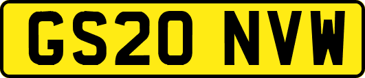 GS20NVW