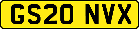 GS20NVX