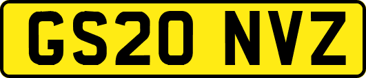 GS20NVZ