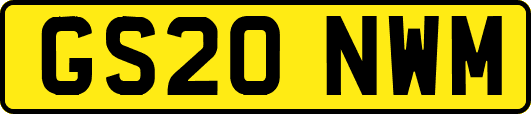 GS20NWM