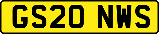 GS20NWS