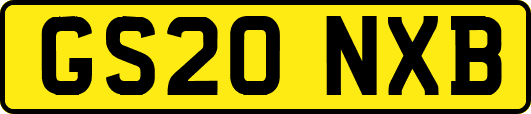GS20NXB
