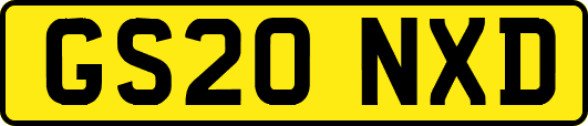 GS20NXD