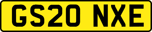 GS20NXE