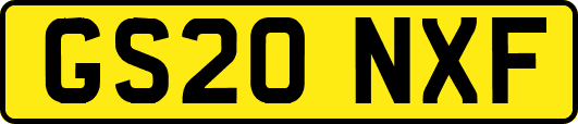 GS20NXF