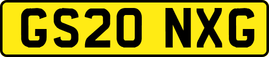 GS20NXG