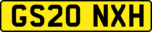 GS20NXH