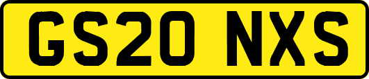 GS20NXS