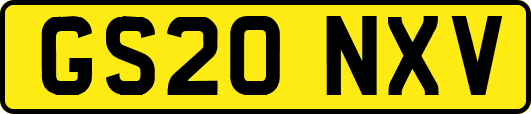 GS20NXV