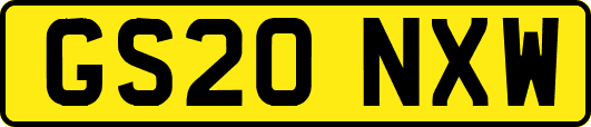 GS20NXW