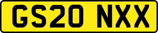 GS20NXX