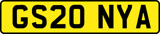 GS20NYA