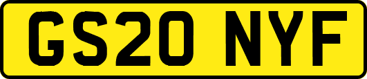 GS20NYF