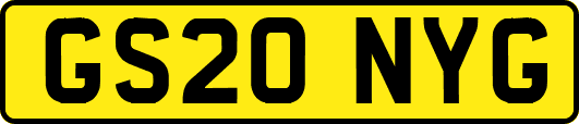 GS20NYG
