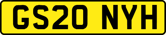 GS20NYH