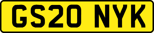 GS20NYK