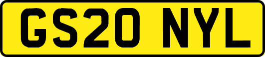 GS20NYL