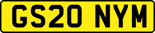 GS20NYM