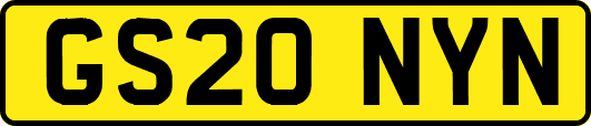 GS20NYN