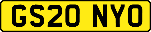 GS20NYO