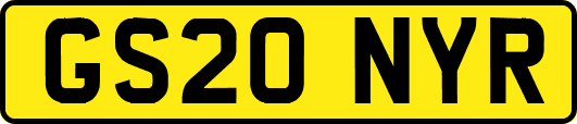 GS20NYR