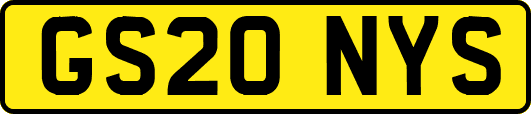 GS20NYS